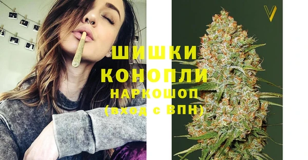 твердый Арсеньев