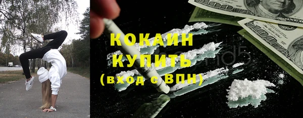 твердый Арсеньев