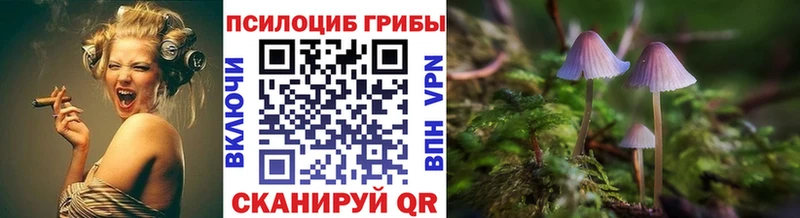 Галлюциногенные грибы Magic Shrooms  Суровикино 